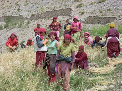 Ladakh Culture